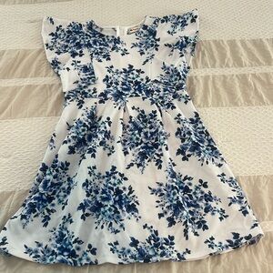 Poppies and roses blue and white rose floral dress